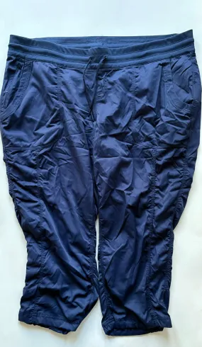 Athletic Pants By Northface In Blue, Size: 3x Low Bulk