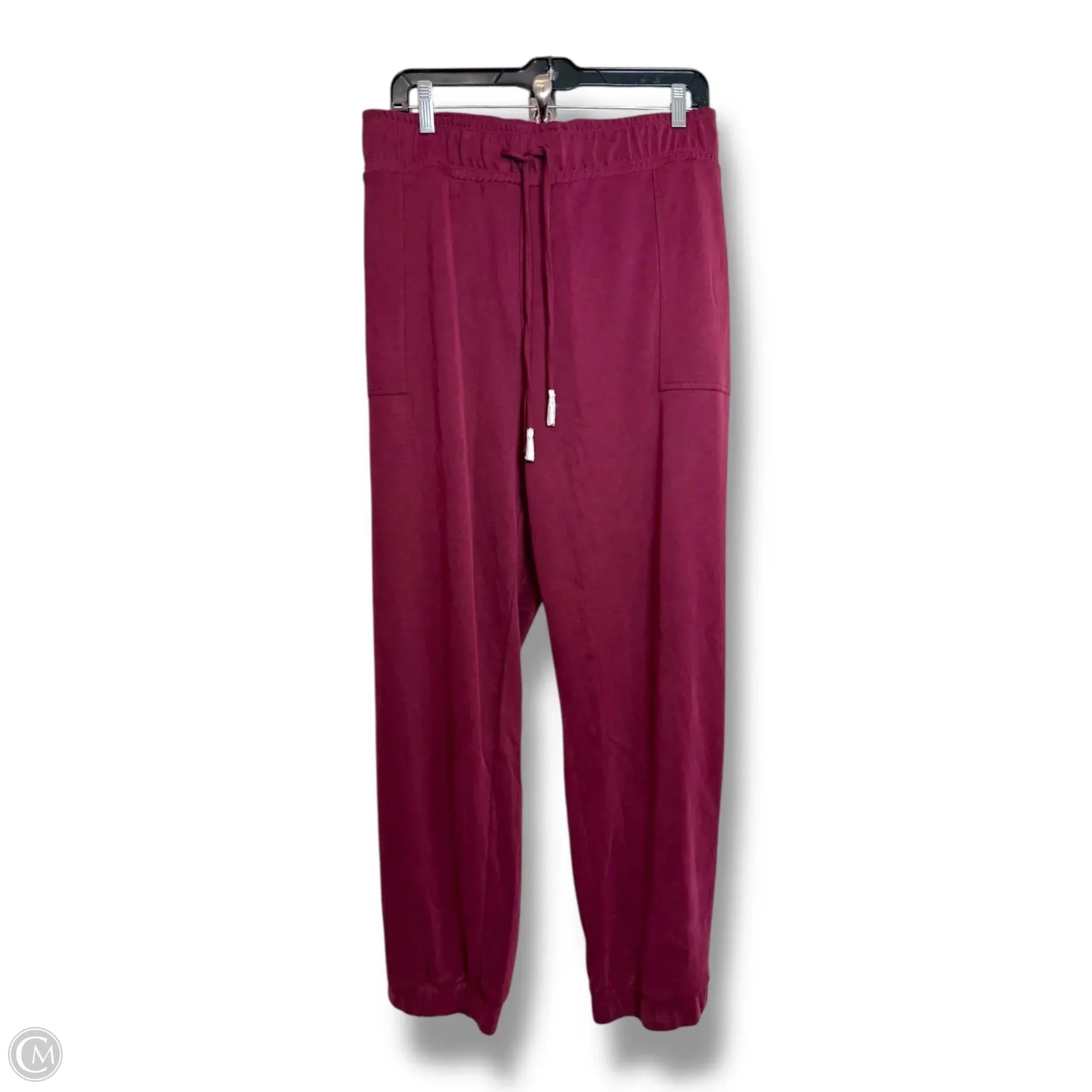 Athletic Pants By Susan Graver In Maroon, Size: 2x Street Style Embroidered Detail