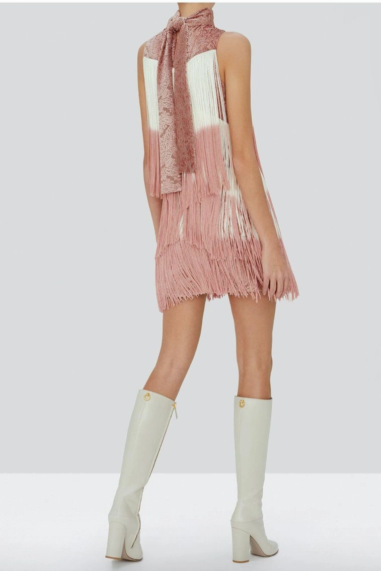 Statement Mood Timeless slip dress ALEXIS | Mayla Blush Fringe Dress