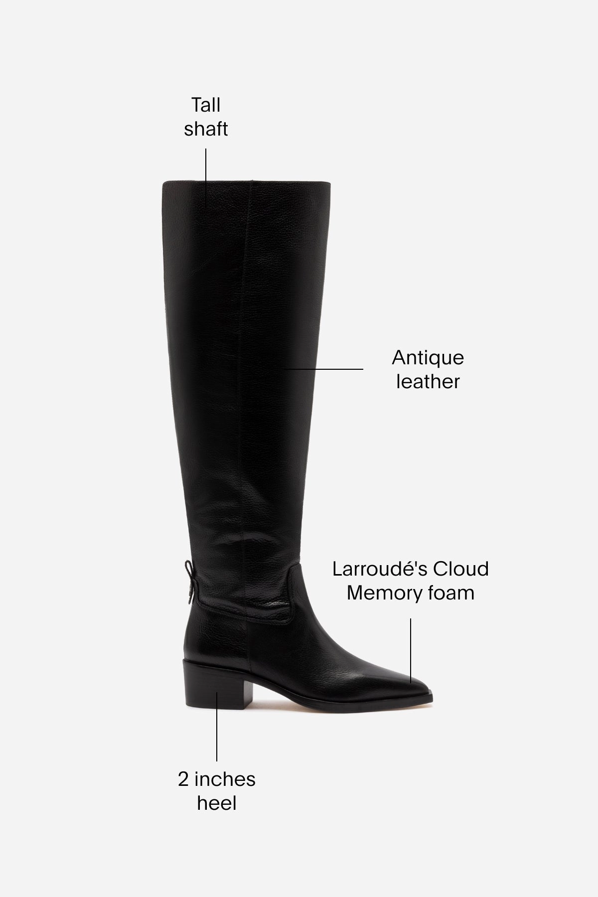 Neutral design RubberOutsole Florencia Hi Boot In Black Leather