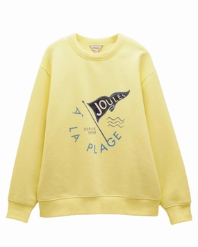Joules Womens Graphic Crew Neck Sweatshirt Subtle Color Halloween