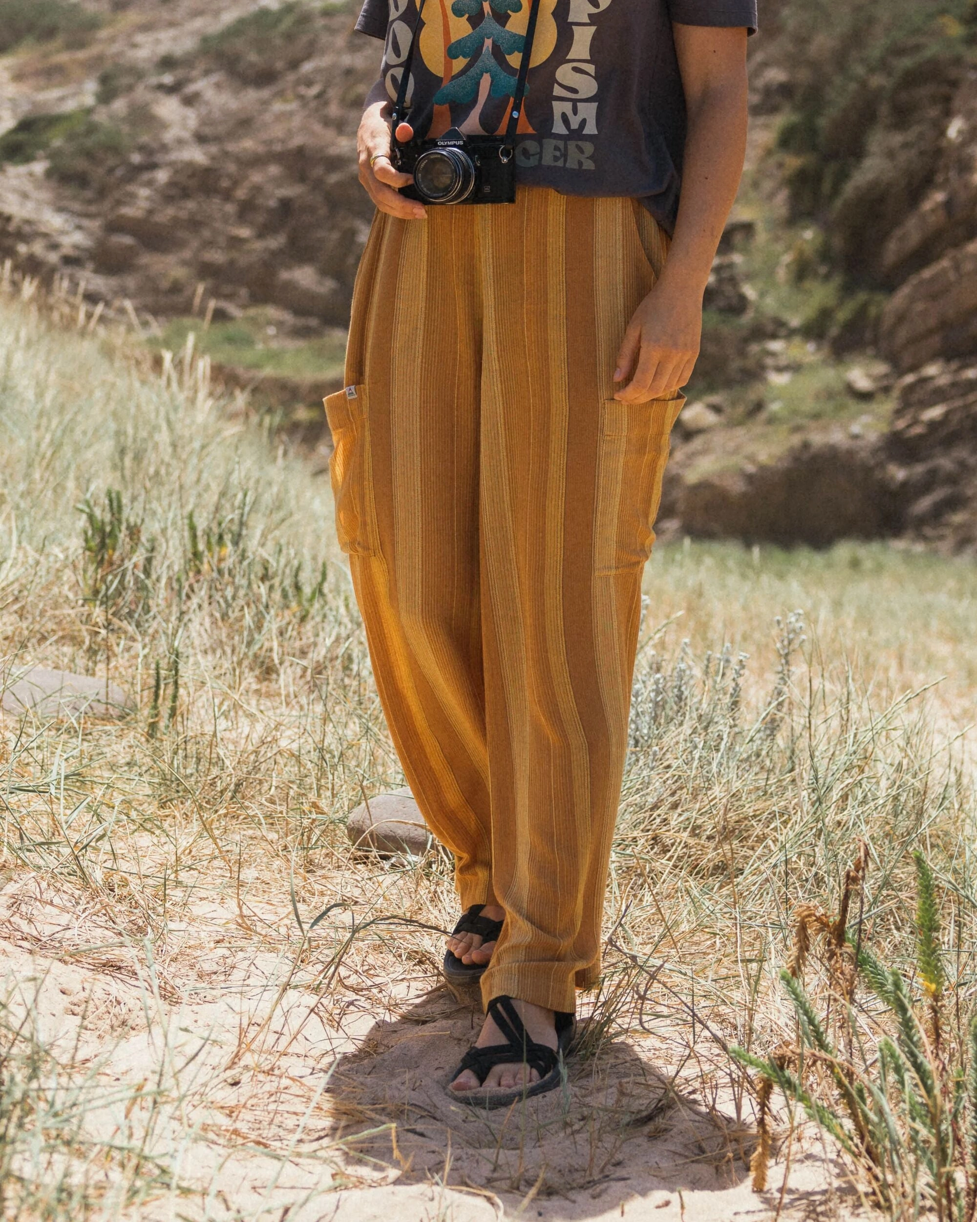 WindResistantMaterial Someday Woven Trouser - Spruce Yellow Stripe