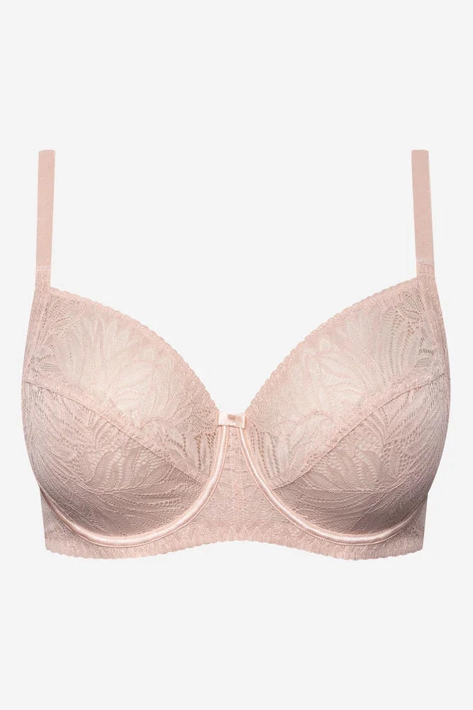 Raw edges Dance lovers Plus Size 2 Pack Lace Non Padded Underwire Bras Brown And Natural
