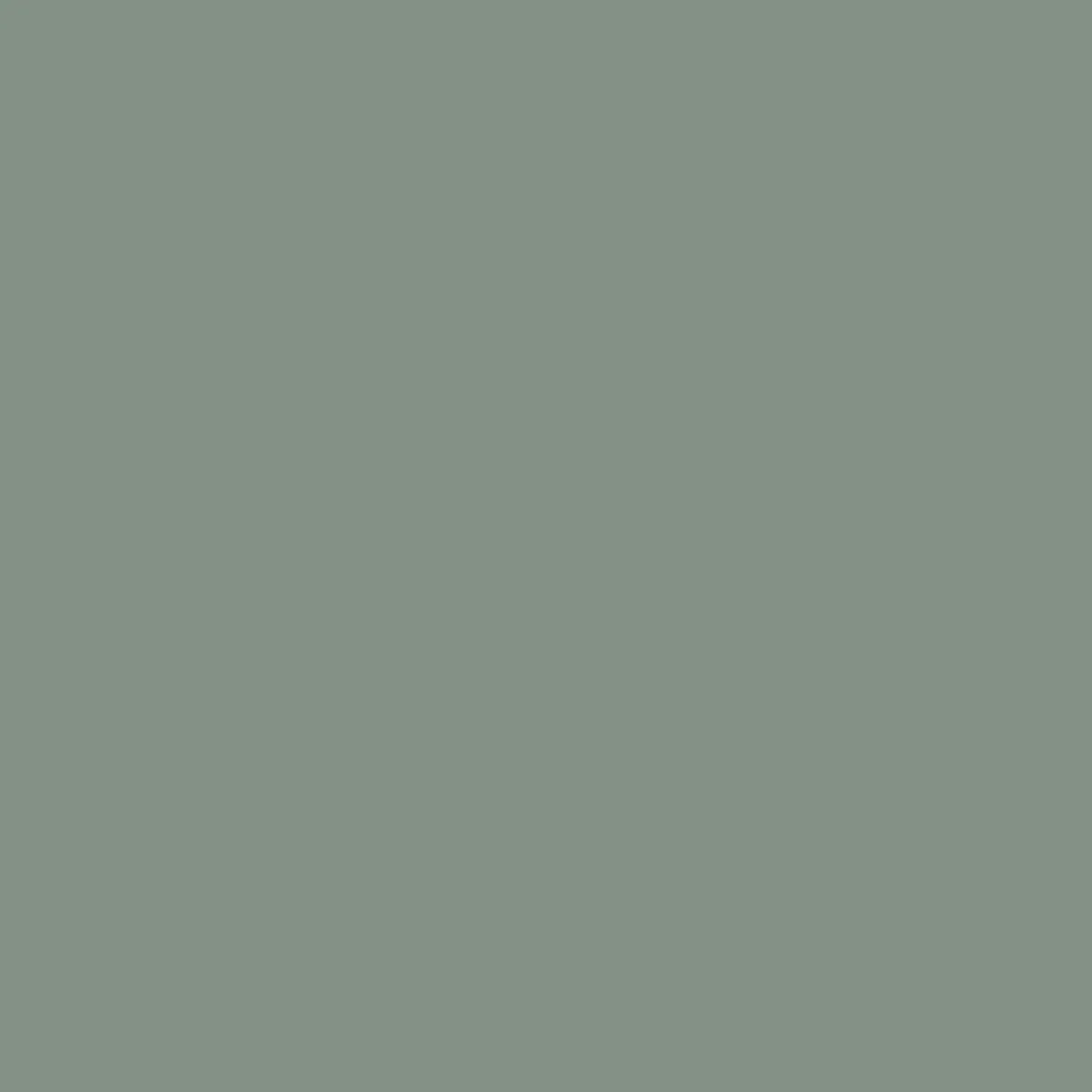 Practical Choice Rappel Recycled Sherpa Oversized Shirt - Pistachio