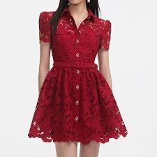 Gloss Accent Self Portrait  112 Lace Collared Mini Dress in Burgundy