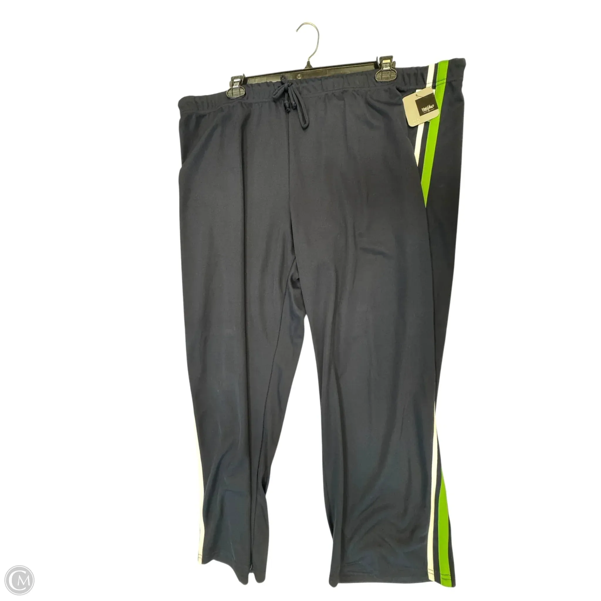 Anti Pilling Treatment Athletic Pants By Mossimo In Blue & Green, Size: 3x