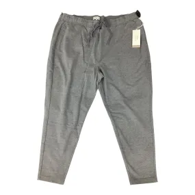 Athletic Pants By Not Your Daughters Jeans In Grey, Size:2X GussetedCrotch